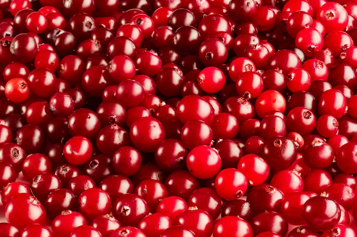 Cranberry Cheddar